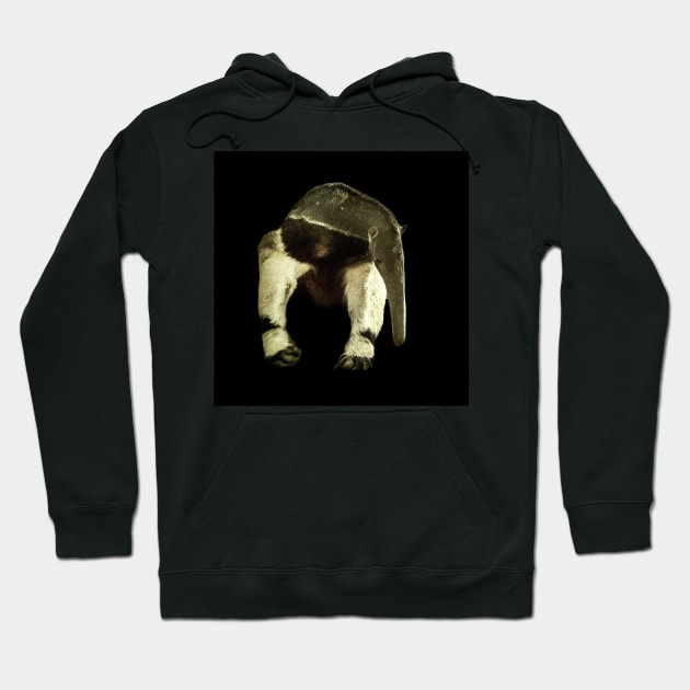 Giant anteater Hoodie by Guardi